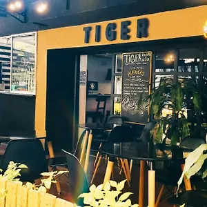 Tiger Hostel Medellín